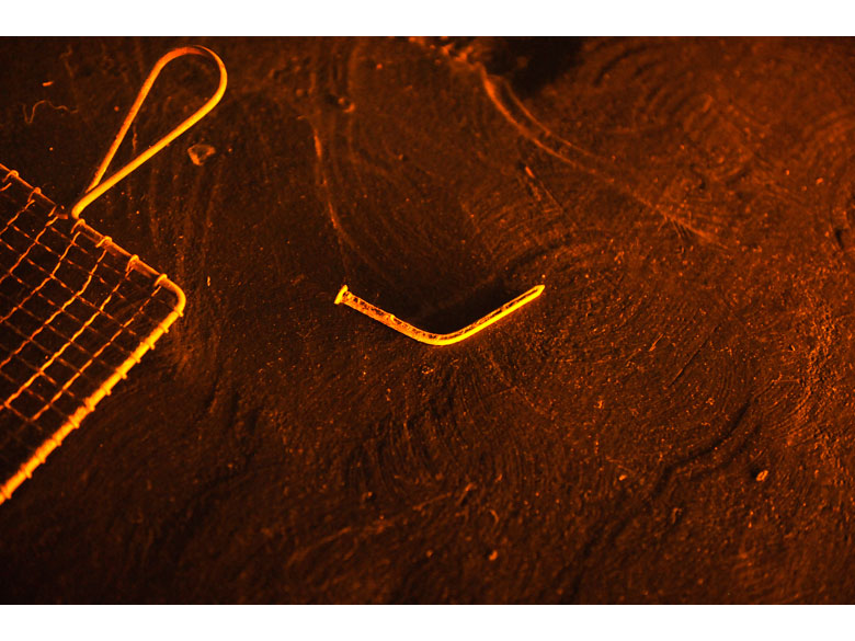 Wavering between the dog and the wolf