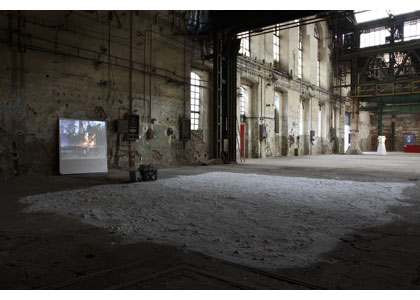 Sean Rogg - Wood at tina b., The Prague Contemporary Art Festival