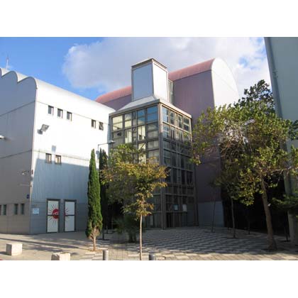 Sean Rogg - Wood at the CCA, Videozone: 3, The 3rd International Video-art Biennial In Israel